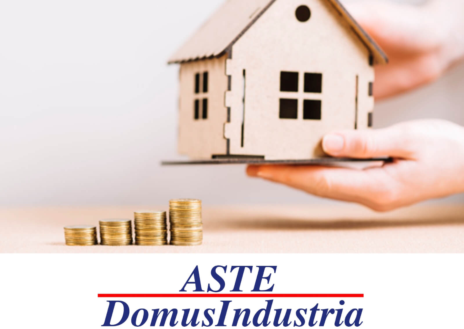 Domus Industria